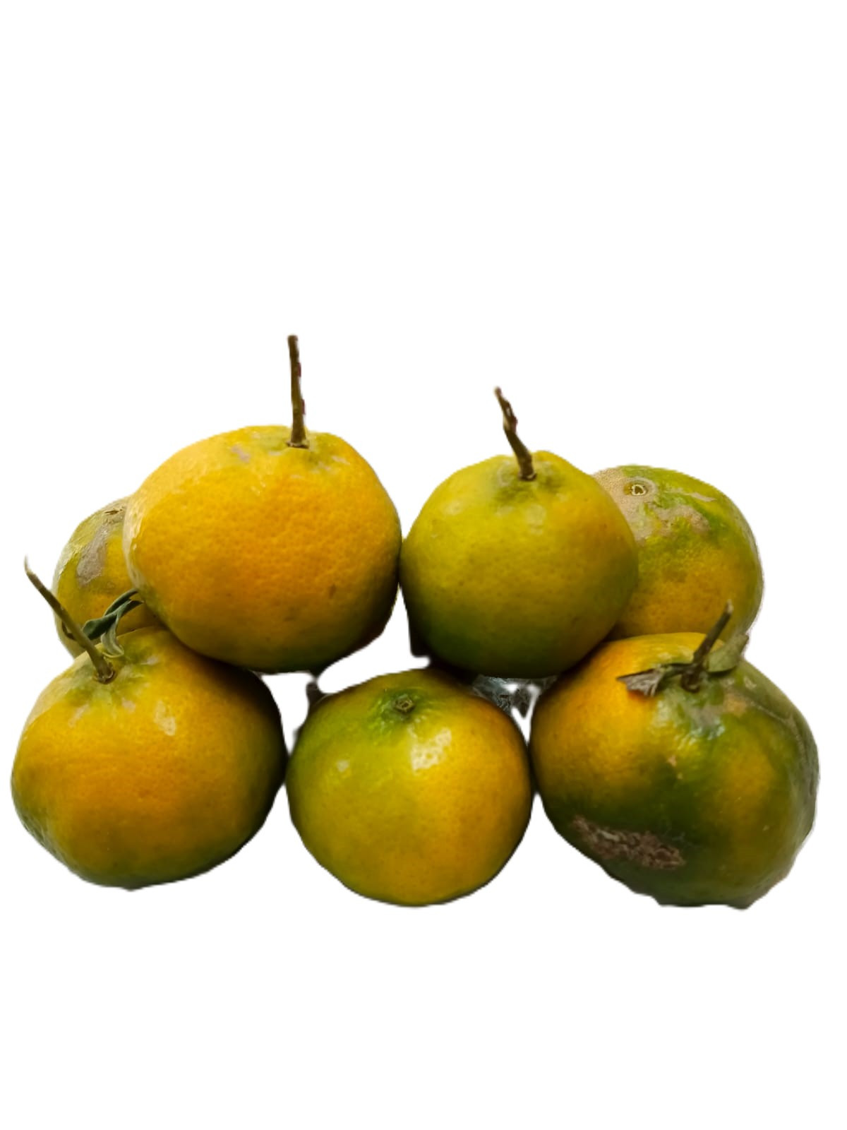 Mandarina Ambateña 1kg