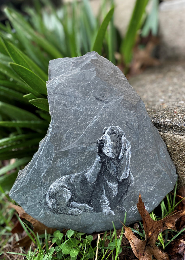 Slate - Bassett for Dad.jpg