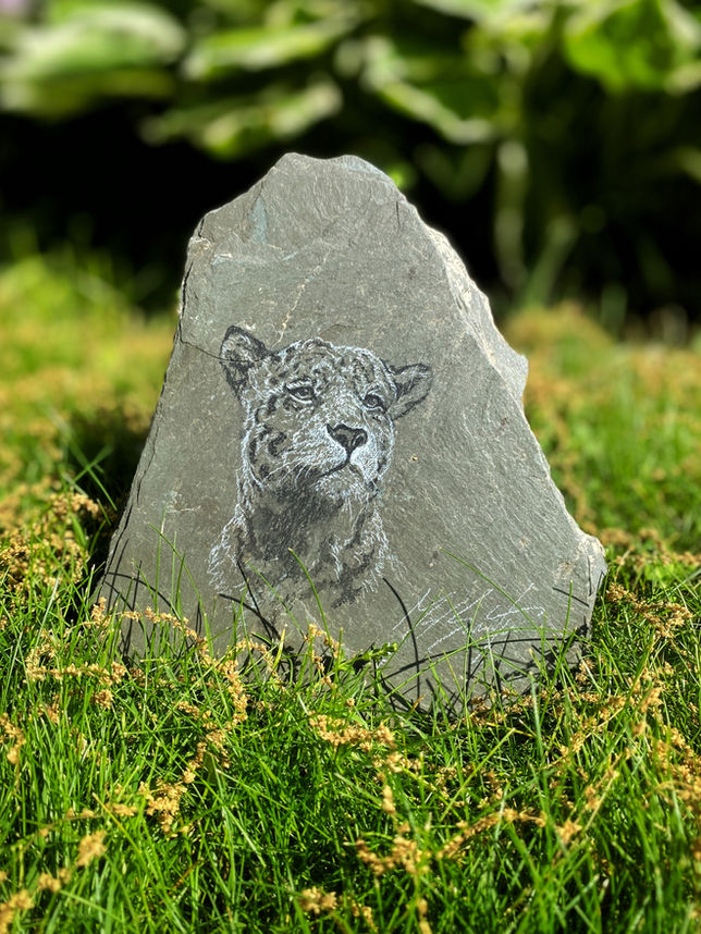 Leopard Slate.JPG