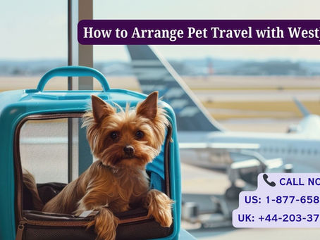What are the WestJet's Approved Pet Carrier Requirements?