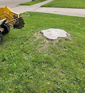 Stump Grinding1.JPG