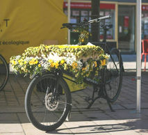 fleurissement remorque avant vélo Beefast