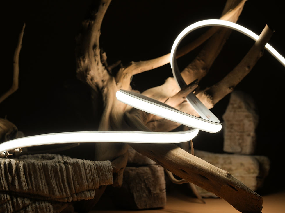 Thumbnail: GLOW WORM 10 PRO