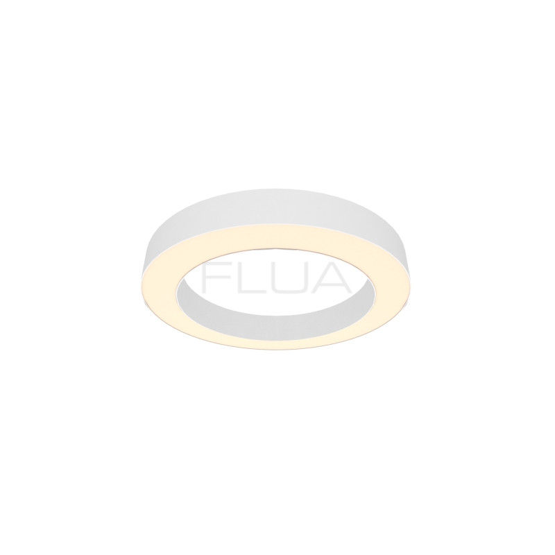 Thumbnail: RING ON 24