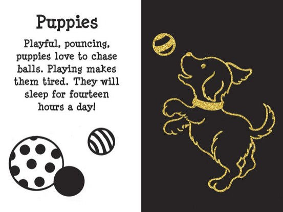 Thumbnail: Furry Friends Scratch and Sketch - Peter Pauper Press