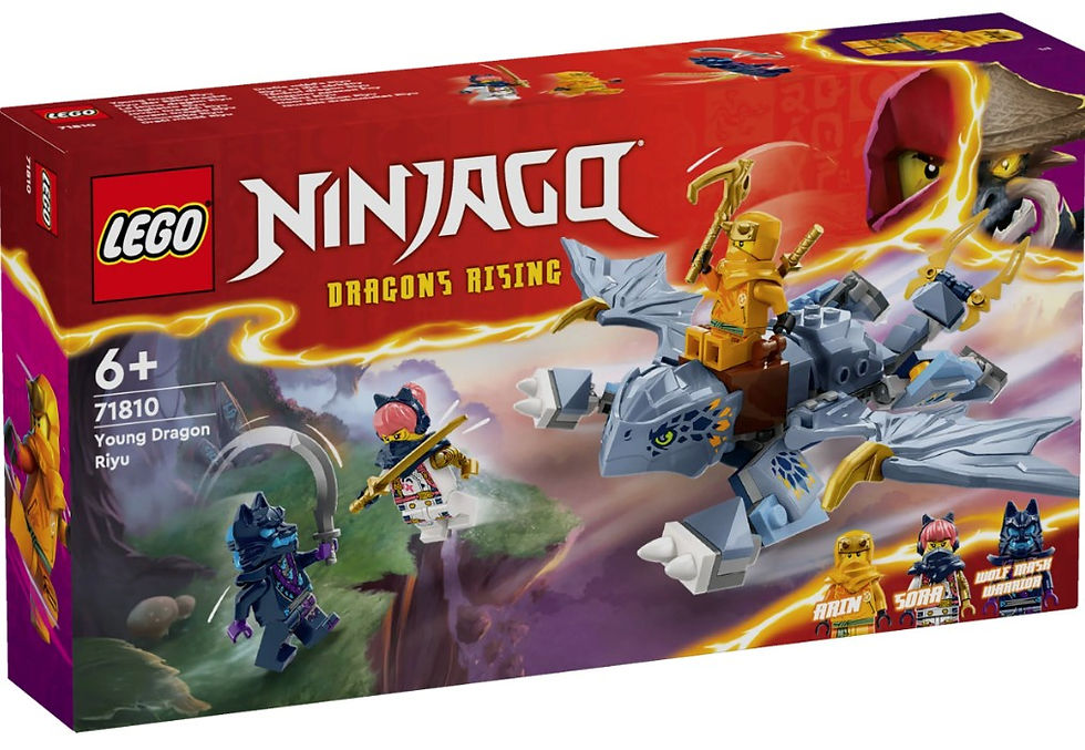 LEGO 71810 Ninjago: Young Dragon Riyu Front of box