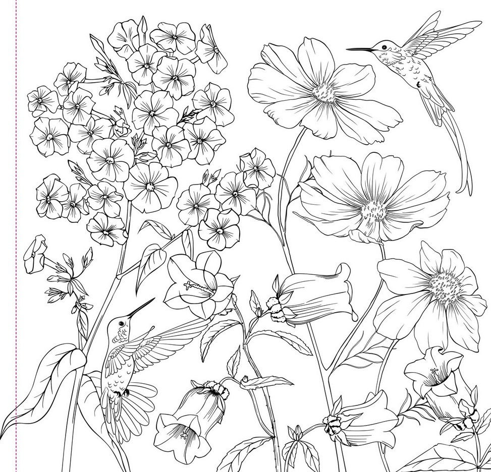 Wildflowers Adult Coloring Book - Peter Pauper Press