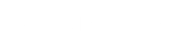 VISION.png