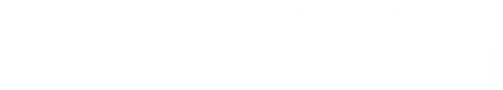 VISION.png