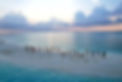 Divers Tribe Sandbank at Sunset