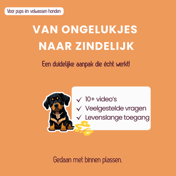 Zindelijkheidstraining hond