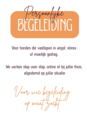 AANBOD WEBSITE 1.png