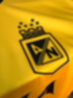 Miniatura: CAMISETA RENE HIGUITA NACIONAL LEONA AMARILLA
