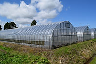 4964158_m.jpg