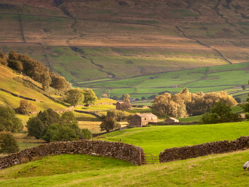 Solicitors in Leyburn, North Yorkshire