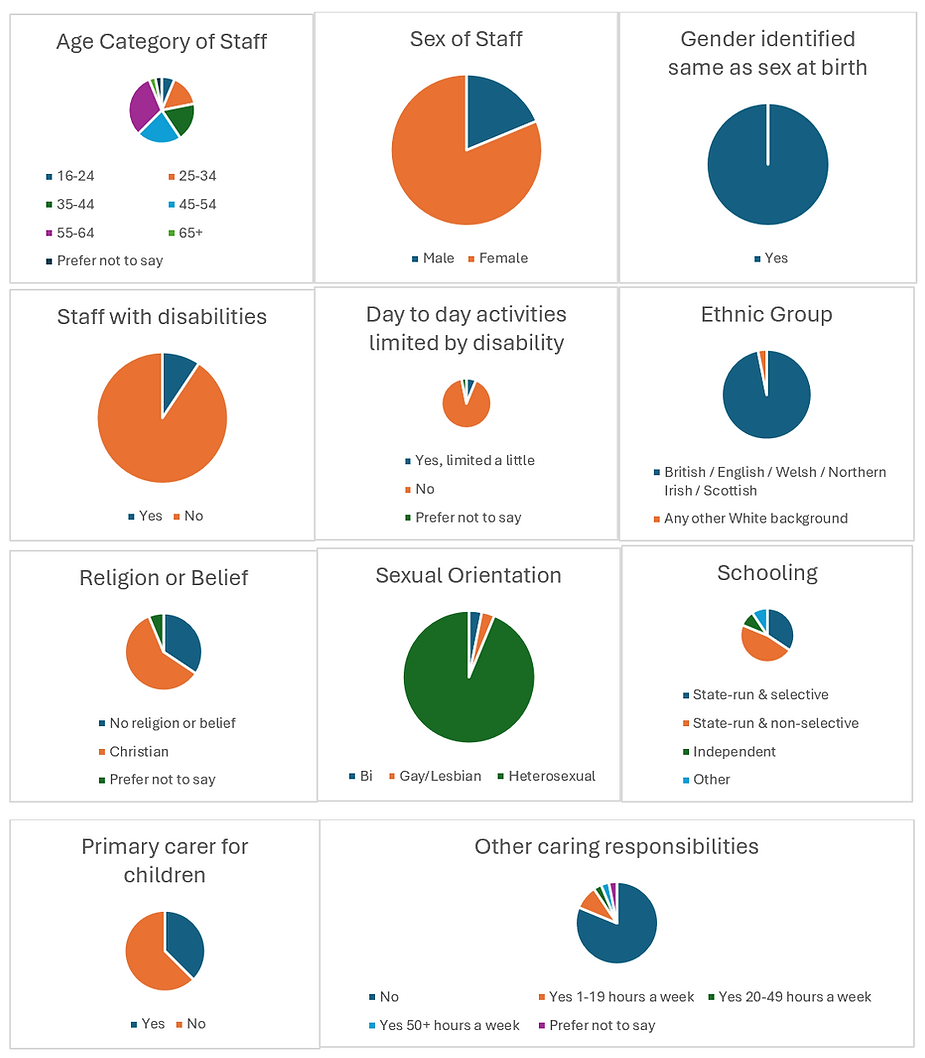 Diversity Data 2025.png