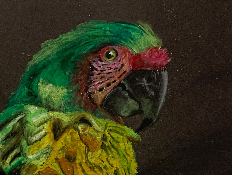 Brooke_Oil Pastel
