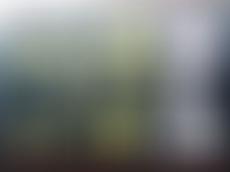 こんなところで。