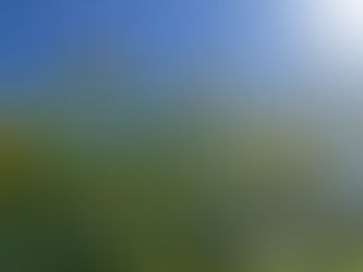 夏!