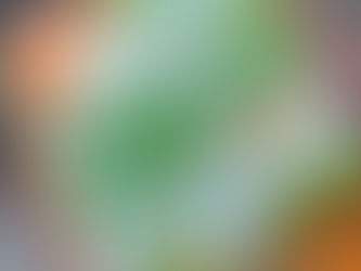 継続は力なり。