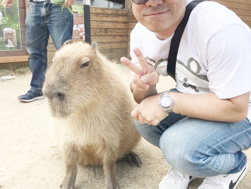 ふれあいワンダーランド。