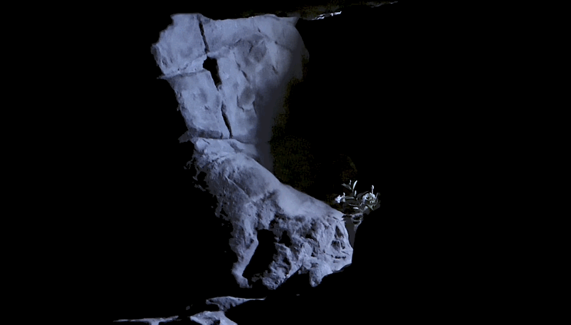 rabbit7.gif