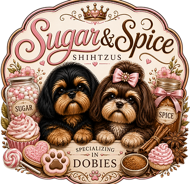 sugar and spice exported design.PNG