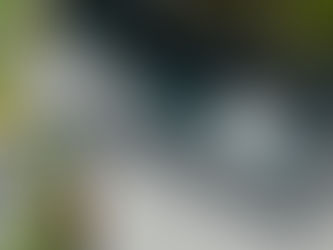 Magnesium v Salt Chlorination Pools