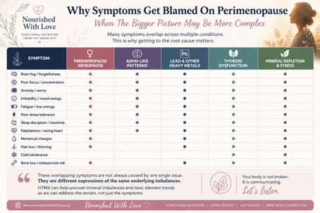 Perimenopause, Menopause & The Bigger Picture - Why Hormones May Not Be the Whole Story