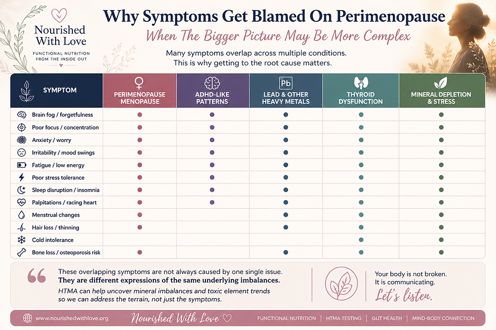 Perimenopause, Menopause & The Bigger Picture - Why Hormones May Not Be the Whole Story