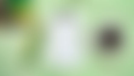 ФОРМИРОВАНИЕ УМК ПРЕДМЕТНОЙ ОБЛАСТИ «ИСКУССТВО» на 2022-2023 УЧЕБНЫЙ ГОД