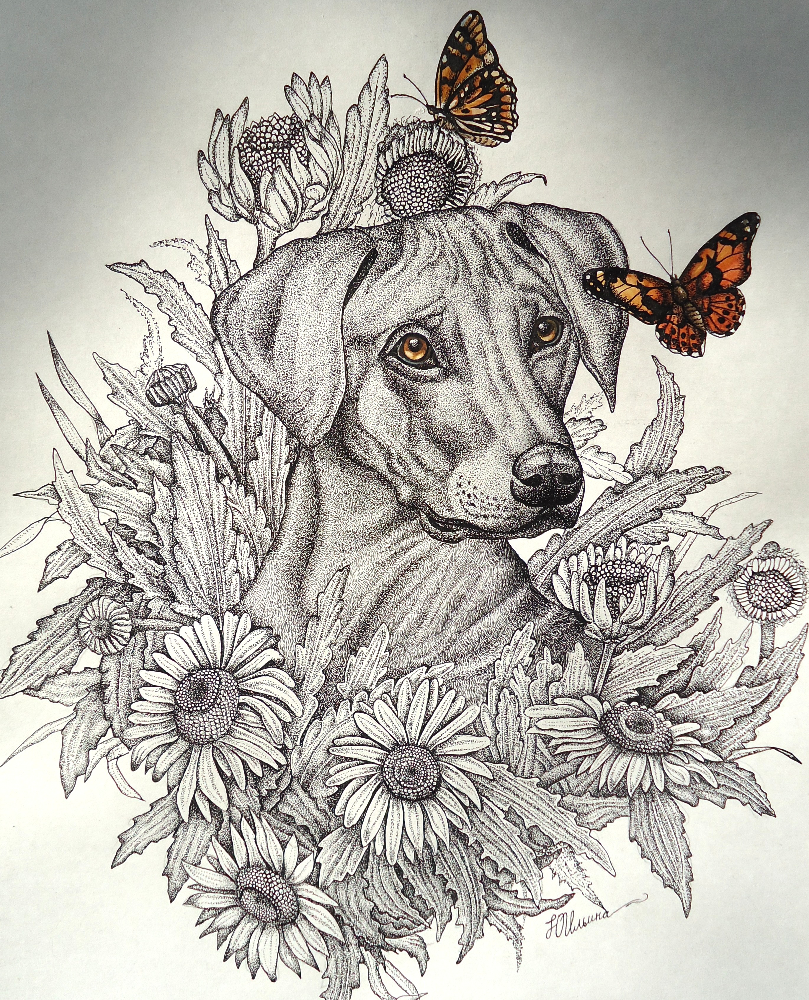 собака рисунок карандашом. щенок графика. щенок графика. собака в графическом стиле. собака карандашом.