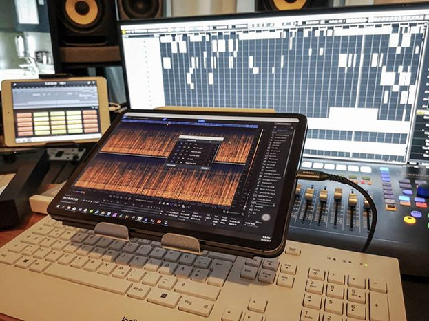 Rx editing with the ipad pro