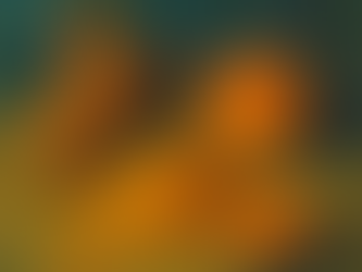 Csodaszerek a konyhában - A kurkuma