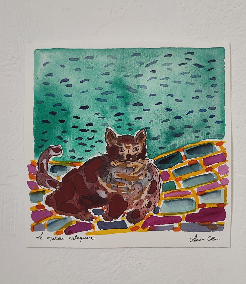 Miniature : Le matou arlequin - illustration sur papier