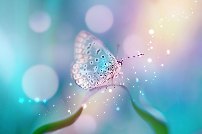 AdobeStock_127906494.jpeg