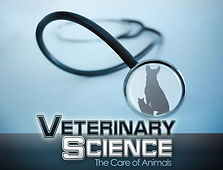 veterinary-science_t-300-695x530.jpg