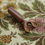 Thumbnail: Double-Nostril Snuff Spoon that is Actually for Tobacco!