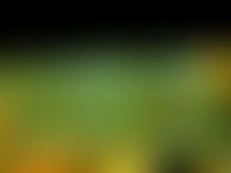 Trophée 🏆 LIane d’or