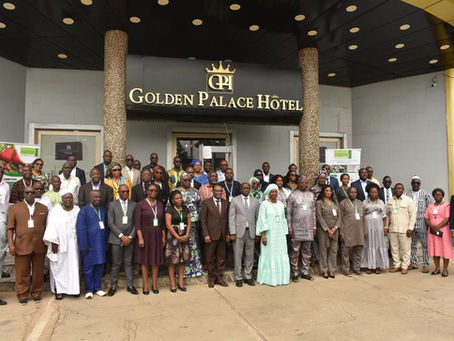Le Sénégal représenté au CICC : Elisabeth Huguette Peggy Ba élue Secrétaire de la Commission Transformation