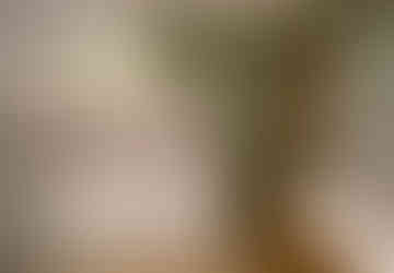 Rénovation Appartement à Paris 6