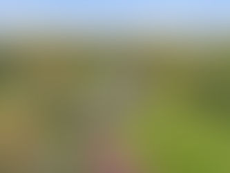 Aerial Drone Photography for Property Listings in Western MA
