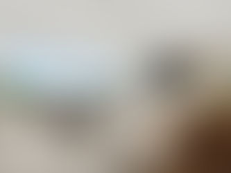 A Luxurious living room with a view in Western Massachusetts