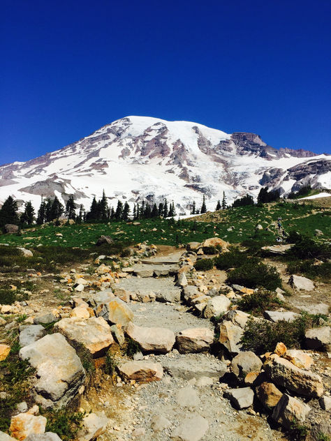 Summer Day Trip to Mount Rainier National Park