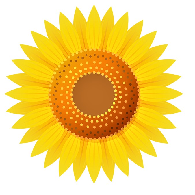 aria-label.authors-picture: kawasaki girasol