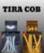 TIRA COB LED 12V