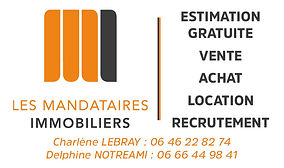 Les mandataires immobiliers.jpg