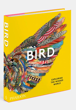 9781838661403_phaidon bird.jpeg