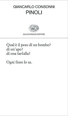 978880624774 giancarlo consonni pinoli.jpeg