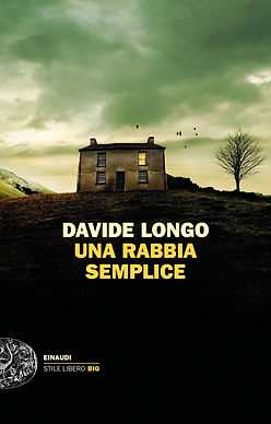 davide longo_rabbia semplice.jpeg